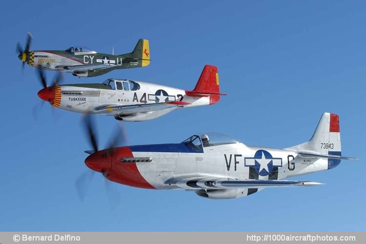 North American P-51 formation