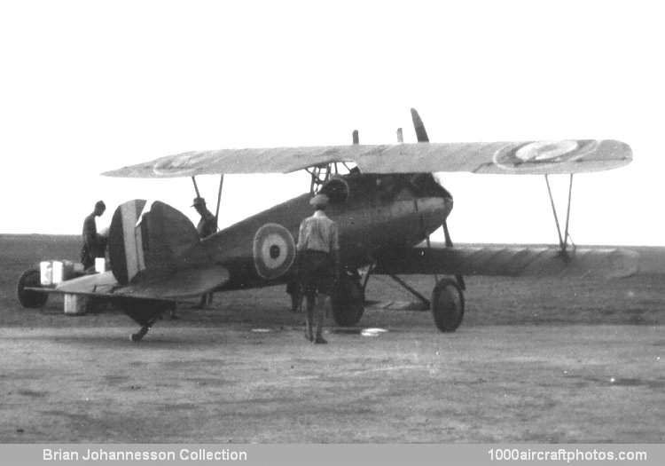 Albatros L-20 D.III