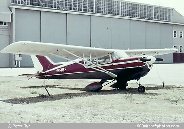 Beagle A.109 Airedale